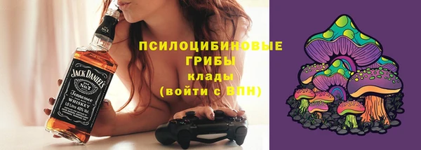 соль курить ск Бородино
