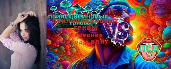 Альфа ПВП Бугульма