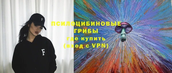Альфа ПВП Бугульма