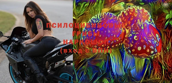 Альфа ПВП Бугульма